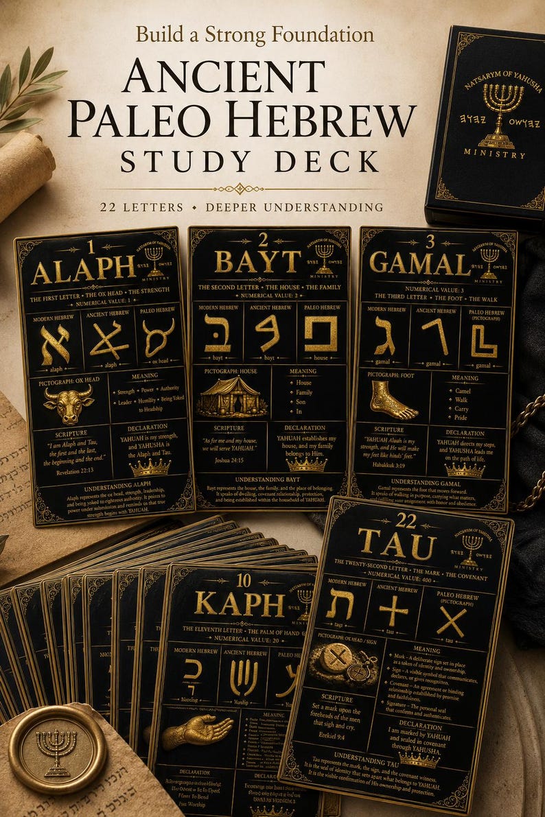 K&ouml;nnte beinhalten: Ein schwarz-goldenes Lernkartenset f&uuml;r antikes Pal&auml;o-Hebr&auml;isch mit 22 Karten, die Buchstaben, Piktogramme und Schriftstellen zeigen. Die Karten enthalten detaillierte sprachliche Informationen, einschlie&szlig;lich moderner, antiker und Pal&auml;o-Hebr&auml;isch-Schriften.