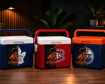 Personalized cooler with your favorite brand Mini 355ml