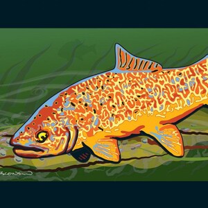 Tiger Trout print (large)