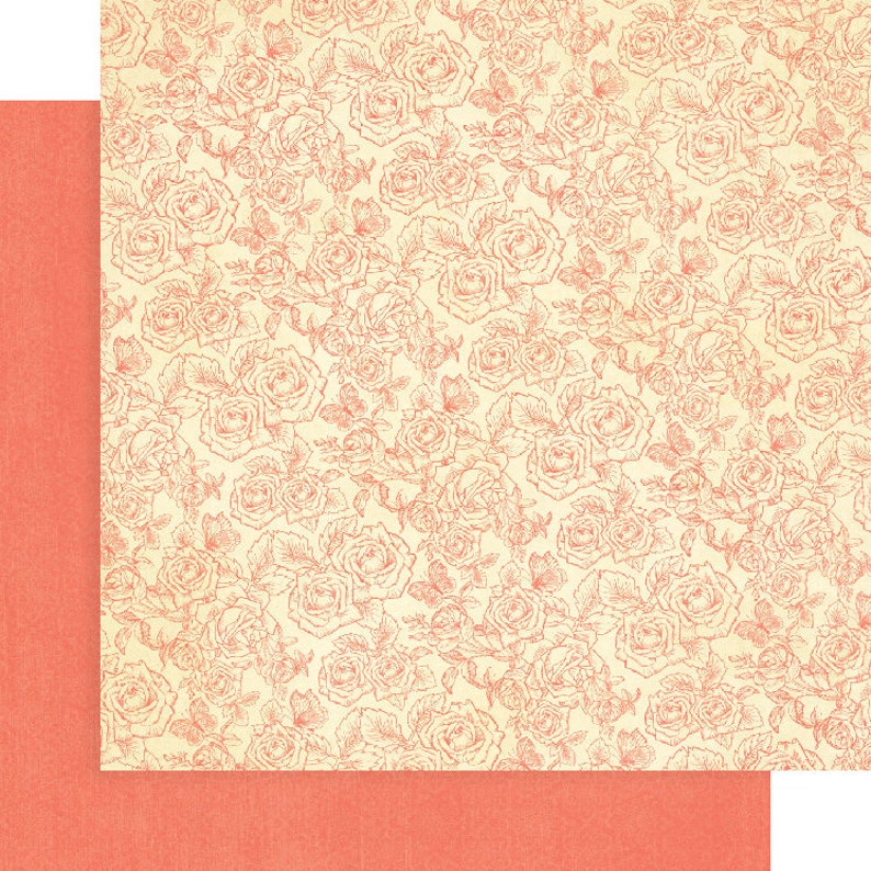 Graphic 45 Imagine 12x12 Patters & Solids Pad afbeelding 8