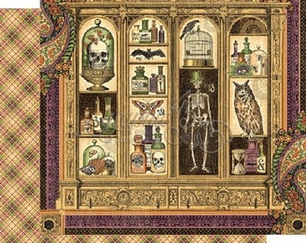 4 sheets - Graphic 45 Rare Oddities 12 x 12 sheets
