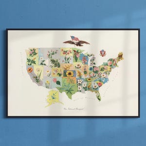 Unser Nationalstrauß - Vintage Zustandsblumen Karte | Botanische Landkarte der USA, 1911