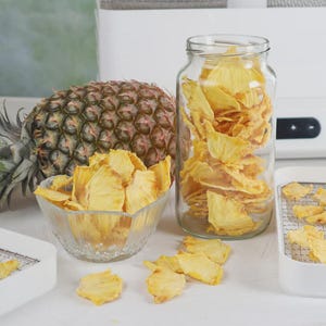 Puede incluir: Una piña entera se sitúa junto a un tarro de cristal transparente lleno de rodajas de piña seca amarilla. Un cuenco de cristal contiene más trozos de piña seca, y hay rodajas adicionales esparcidas cerca de bandejas blancas de deshidratador.