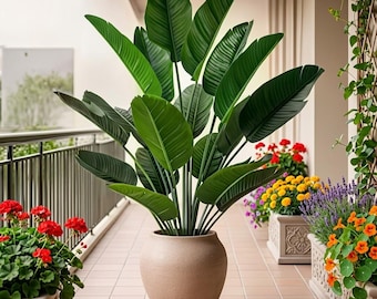 Artificial Tropical Palm Tree Plant | 18 Leaves Fake Banana Plant | Real Touch Faux Greenery | Home Garden Party Decor