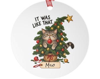 Personalized Cat Christmas Ornament, Funny Santa Has No Proof, Two-Sided Decor