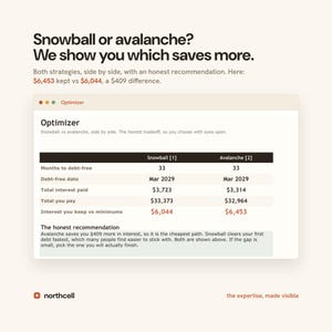 Debt Payoff Planner Spreadsheet, Debt Snowball and Avalanche Calculator, Google Sheets & Excel, Credit Card and Loan Payoff Tracker image 4