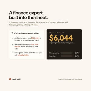 Debt Payoff Planner Spreadsheet, Debt Snowball and Avalanche Calculator, Google Sheets & Excel, Credit Card and Loan Payoff Tracker image 8