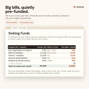 May include: A digital interface for Northcell displaying a Sinking Funds budget table. It lists irregular expenses like car registration, gifts, travel, subscriptions, and medical costs with annual totals and monthly set-aside amounts totaling $385.