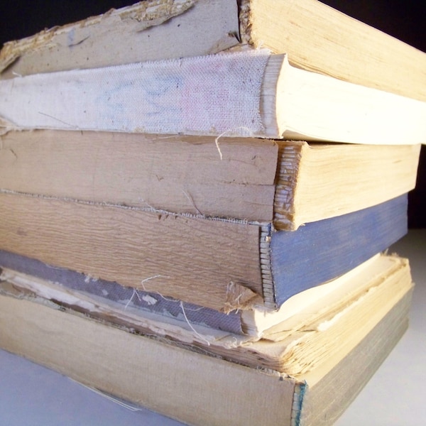 Vintage book pages 5 lbs old book paper worn salvaged book stacks in bulk paper shabby chic wedding decorations/farmhouse junk journal