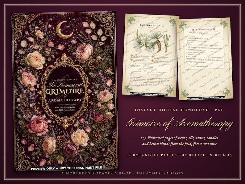 Aromatherapy Book | Homemade Herbal Salves, Oils, Candles and Hydrosols | Foraging Guide for Canada & Northern US | Grimoire PDF image 1