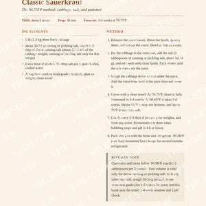 Libro de fermentación / Recetas de kimchi, chucrut, encurtidos y kombucha / Guía de proporción de sal y salmuera / Libro de cocina en PDF para principiantes sobre fermentación imagen 4