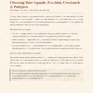 Growing Zucchini & Summer Squash Guide | Quick-Grow Beginner Printable | No-Fluff Garden PDF image 8