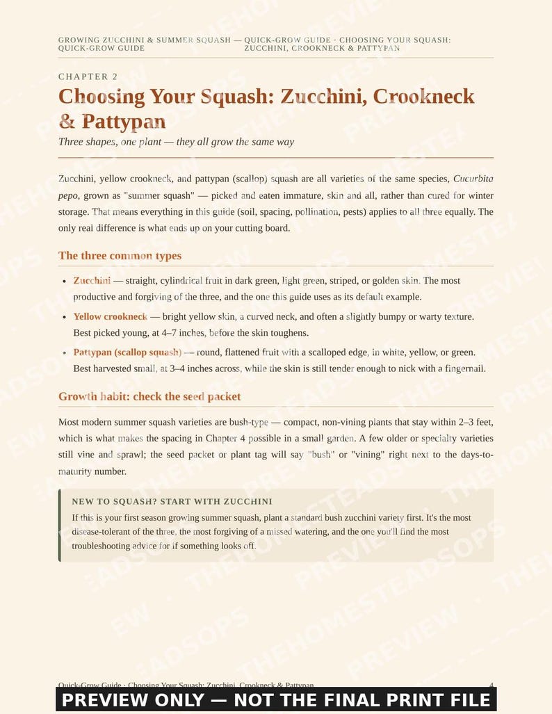 Growing Zucchini & Summer Squash Guide | Quick-Grow Beginner Printable | No-Fluff Garden PDF image 8
