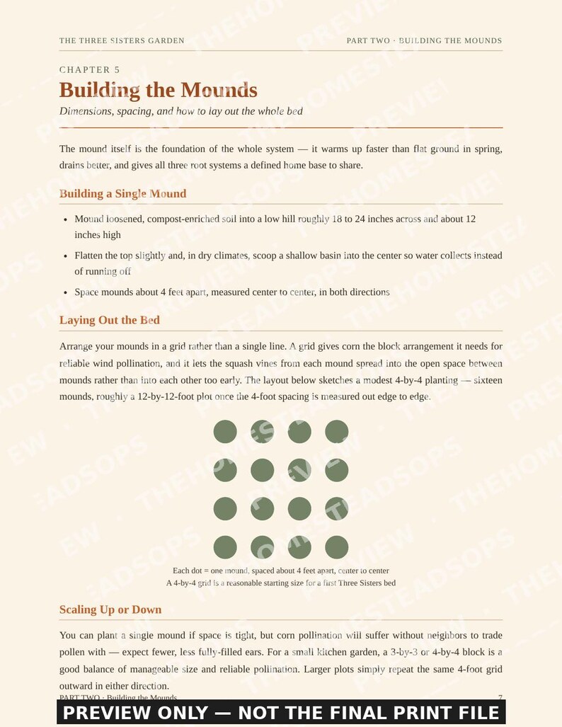 Three Sisters Garden Guide | Corn Beans Squash Companion Planting | Indigenous Method | Printable PDF image 3
