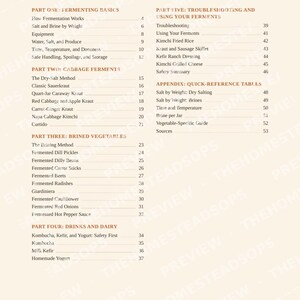 Libro de fermentación / Recetas de kimchi, chucrut, encurtidos y kombucha / Guía de proporción de sal y salmuera / Libro de cocina en PDF para principiantes sobre fermentación imagen 2