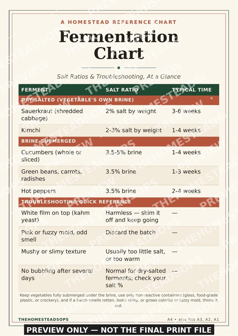 Fermentation Chart | Printable Kitchen Wall Art | Salt Ratio & Troubleshooting Reference | Instant Download image 4