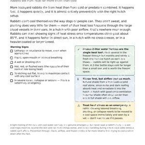 Selbstbau-Kaninchenstall mit erhöhtem Boden und raubtiersicherem Auslauf (PDF-Bauanleitung) Bild 4