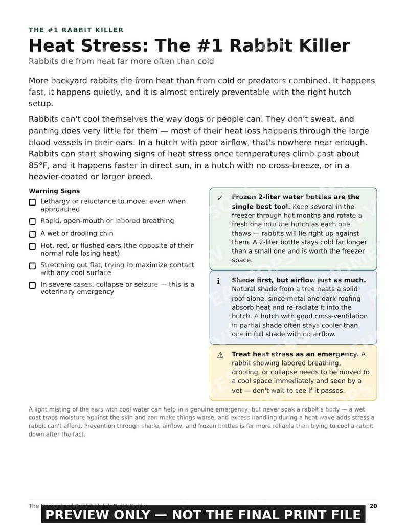 Selbstbau-Kaninchenstall mit erhöhtem Boden und raubtiersicherem Auslauf (PDF-Bauanleitung) Bild 4