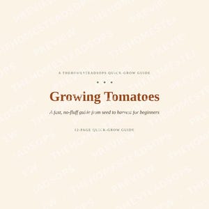 Quick-Grow Tomato Guide | Beginner Gardening PDF (12 Pages) image 1