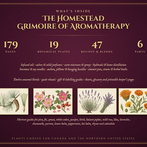 Aromatherapy Book | Homemade Herbal Salves, Oils, Candles and Hydrosols | Foraging Guide for Canada & Northern US | Grimoire PDF image 2