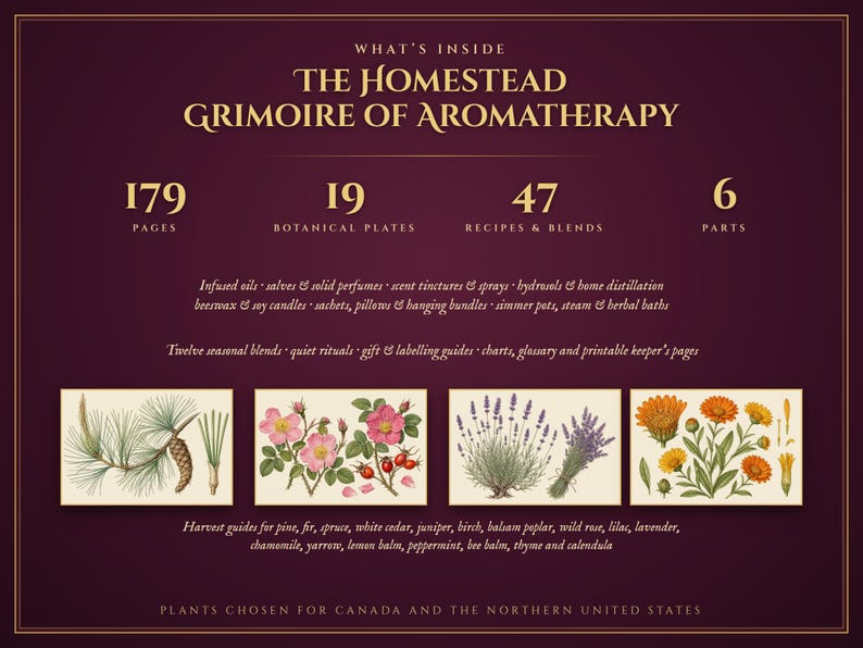 Aromatherapy Book | Homemade Herbal Salves, Oils, Candles and Hydrosols | Foraging Guide for Canada & Northern US | Grimoire PDF image 2