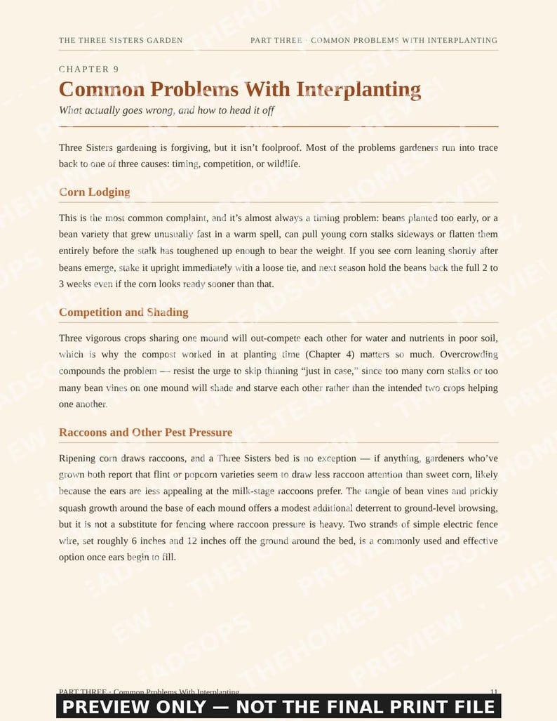 Three Sisters Garden Guide | Corn Beans Squash Companion Planting | Indigenous Method | Printable PDF image 5