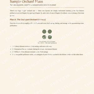 Apple Orchard Guide for Beginners | Growing, Harvesting and Preserving Apples Ebook | Printable PDF image 5