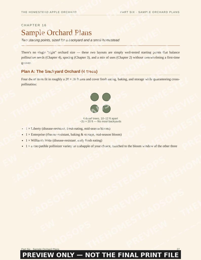 Apple Orchard Guide for Beginners | Growing, Harvesting and Preserving Apples Ebook | Printable PDF image 5