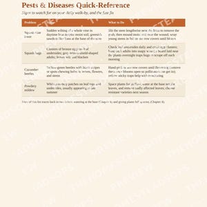 Growing Zucchini & Summer Squash Guide | Quick-Grow Beginner Printable | No-Fluff Garden PDF image 4