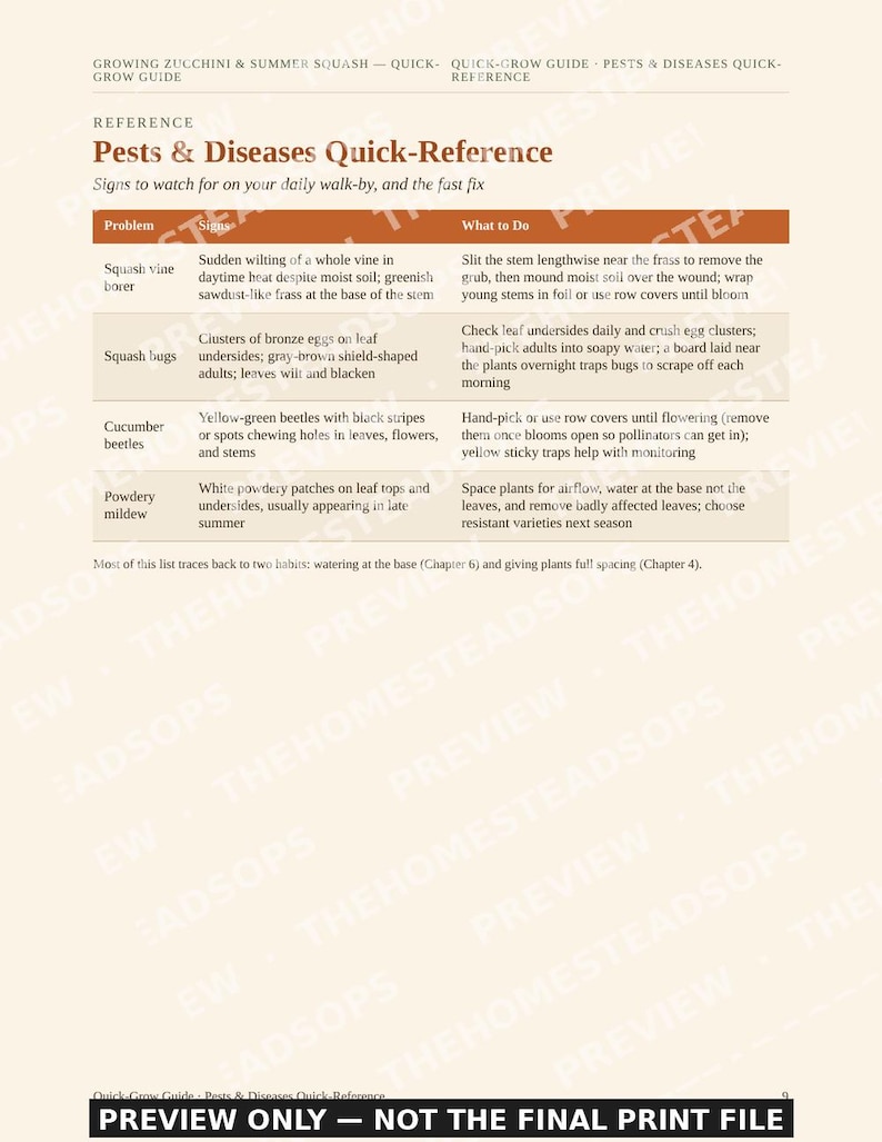 Growing Zucchini & Summer Squash Guide | Quick-Grow Beginner Printable | No-Fluff Garden PDF image 4