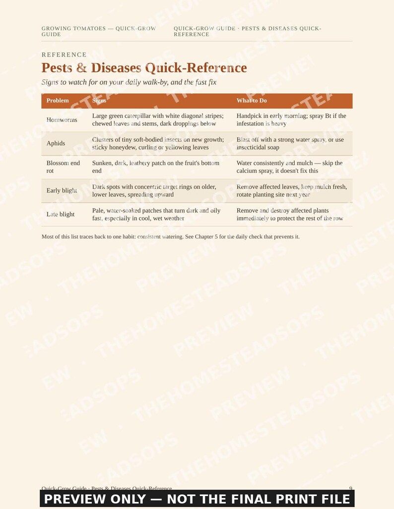 Quick-Grow Tomato Guide | Beginner Gardening PDF (12 Pages) image 5