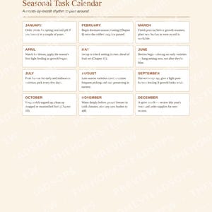 Blueberry Growing Guide for Beginners | Planting, Harvesting and Preserving Blueberries Ebook | Printable PDF image 6