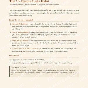 Quick-Grow Tomato Guide | Beginner Gardening PDF (12 Pages) image 3