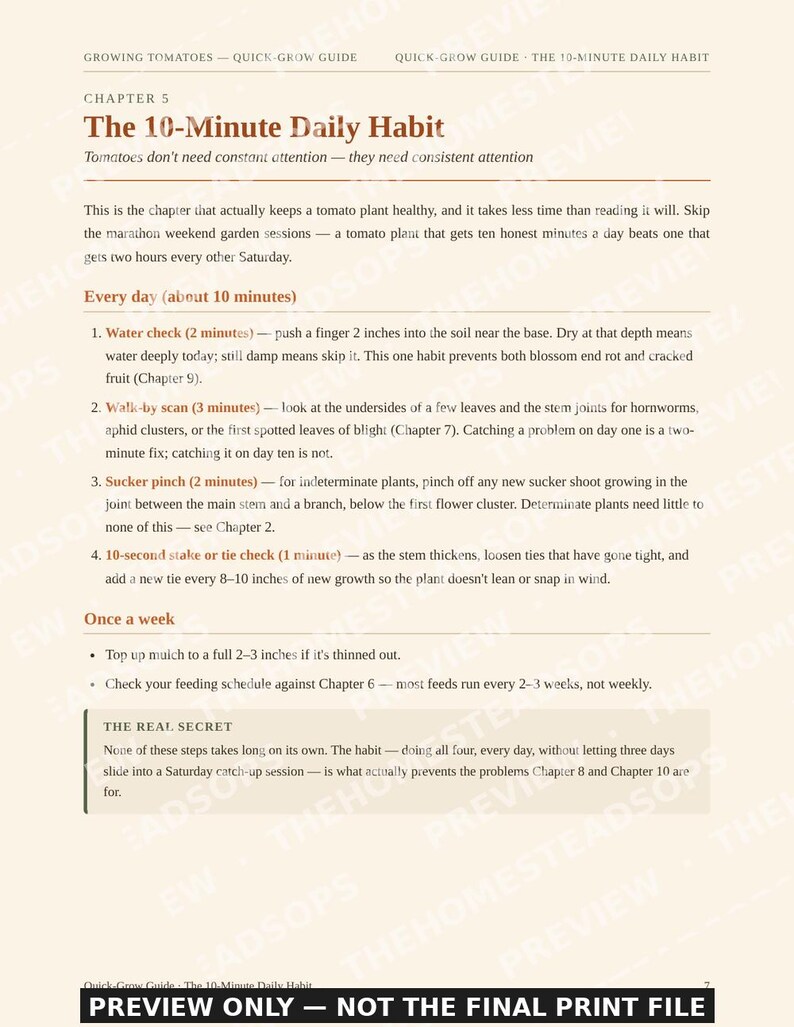 Quick-Grow Tomato Guide | Beginner Gardening PDF (12 Pages) image 3