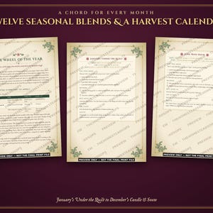 Aromatherapy Book | Homemade Herbal Salves, Oils, Candles and Hydrosols | Foraging Guide for Canada & Northern US | Grimoire PDF image 8
