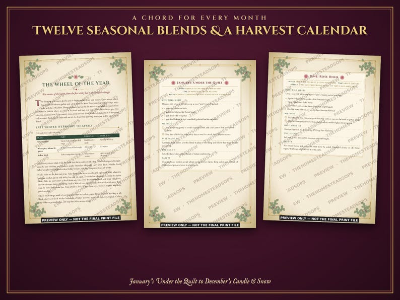 Aromatherapy Book | Homemade Herbal Salves, Oils, Candles and Hydrosols | Foraging Guide for Canada & Northern US | Grimoire PDF image 8