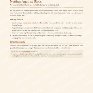 Blueberry Growing Guide for Beginners | Planting, Harvesting and Preserving Blueberries Ebook | Printable PDF image 9