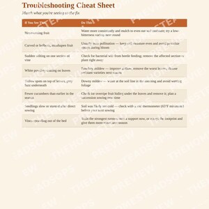 Guía rápida para cultivar pepinos / PDF para principiantes sobre la siembra de pepinos / Guía de jardinería imprimible imagen 6