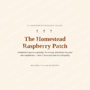 Guía para principiantes sobre el cultivo de frambuesas / Libro electrónico sobre siembra, cosecha y conservación de frambuesas / PDF imprimible imagen 1