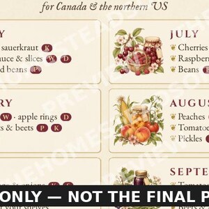 Calendario de conservación imprimible / Guía mensual de enlatado, liofilización y secado / Bonitos adornos de pared para la cocina / Tabla de cosecha estacional imagen 3