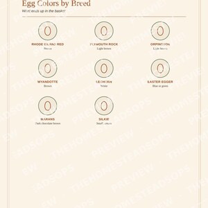 Backyard Chicken Keeping Guide for Beginners | Raising Chickens Ebook | Printable PDF image 4
