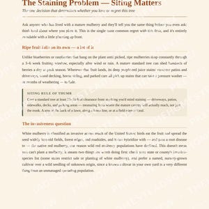 Mulberry Growing Guide | How to Grow, Harvest & Preserve Mulberries | Recipes Included | Printable PDF Ebook image 3