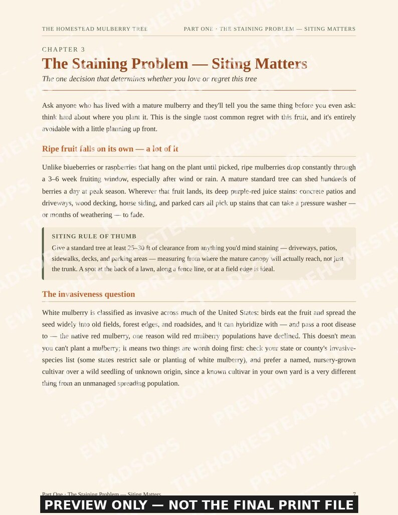 Mulberry Growing Guide | How to Grow, Harvest & Preserve Mulberries | Recipes Included | Printable PDF Ebook image 3