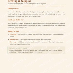 Quick-Grow Tomato Guide | Beginner Gardening PDF (12 Pages) image 4