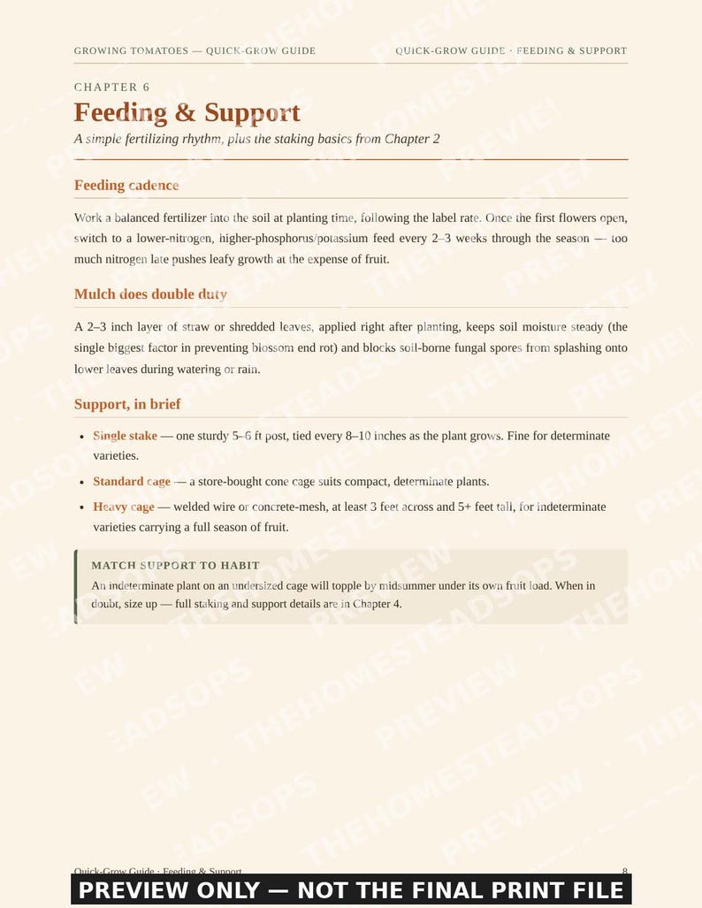 Quick-Grow Tomato Guide | Beginner Gardening PDF (12 Pages) image 4