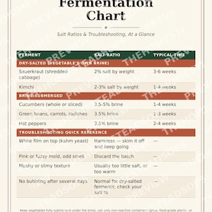 Fermentation Chart | Printable Kitchen Wall Art | Salt Ratio & Troubleshooting Reference | Instant Download image 1