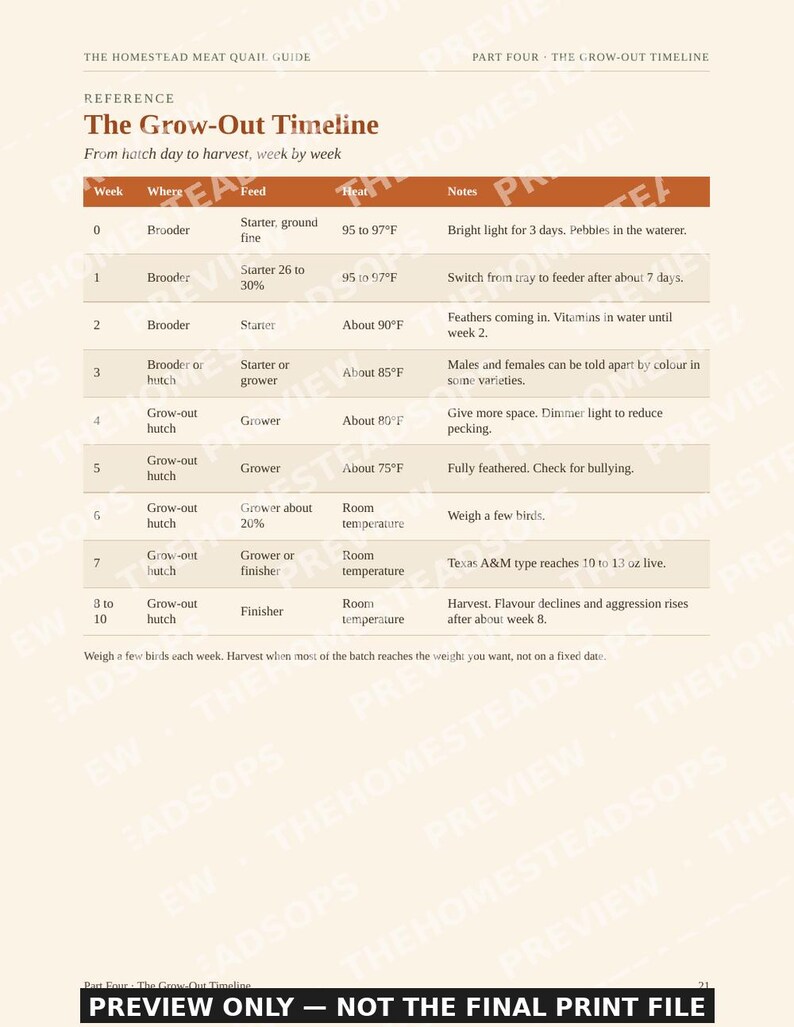 Meat Quail Guide | Raising Coturnix Quail for Meat and Eggs | Backyard Quail Housing, Hatching, Processing, Recipes | PDF Ebook image 5
