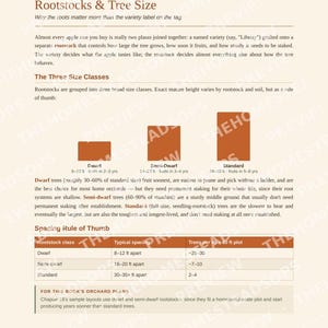 Apple Orchard Guide for Beginners | Growing, Harvesting and Preserving Apples Ebook | Printable PDF image 3