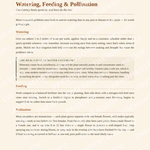 Guía rápida para cultivar pepinos / PDF para principiantes sobre la siembra de pepinos / Guía de jardinería imprimible imagen 4