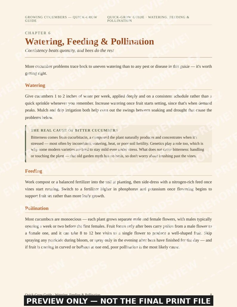 Guía rápida para cultivar pepinos / PDF para principiantes sobre la siembra de pepinos / Guía de jardinería imprimible imagen 4